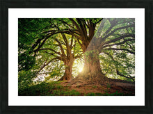 Load image into Gallery viewer, Framed Print
